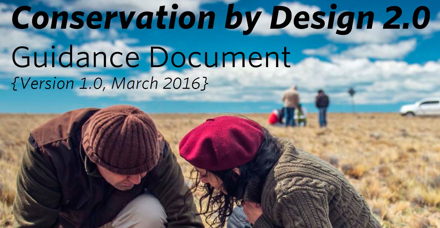 Conservation by Design